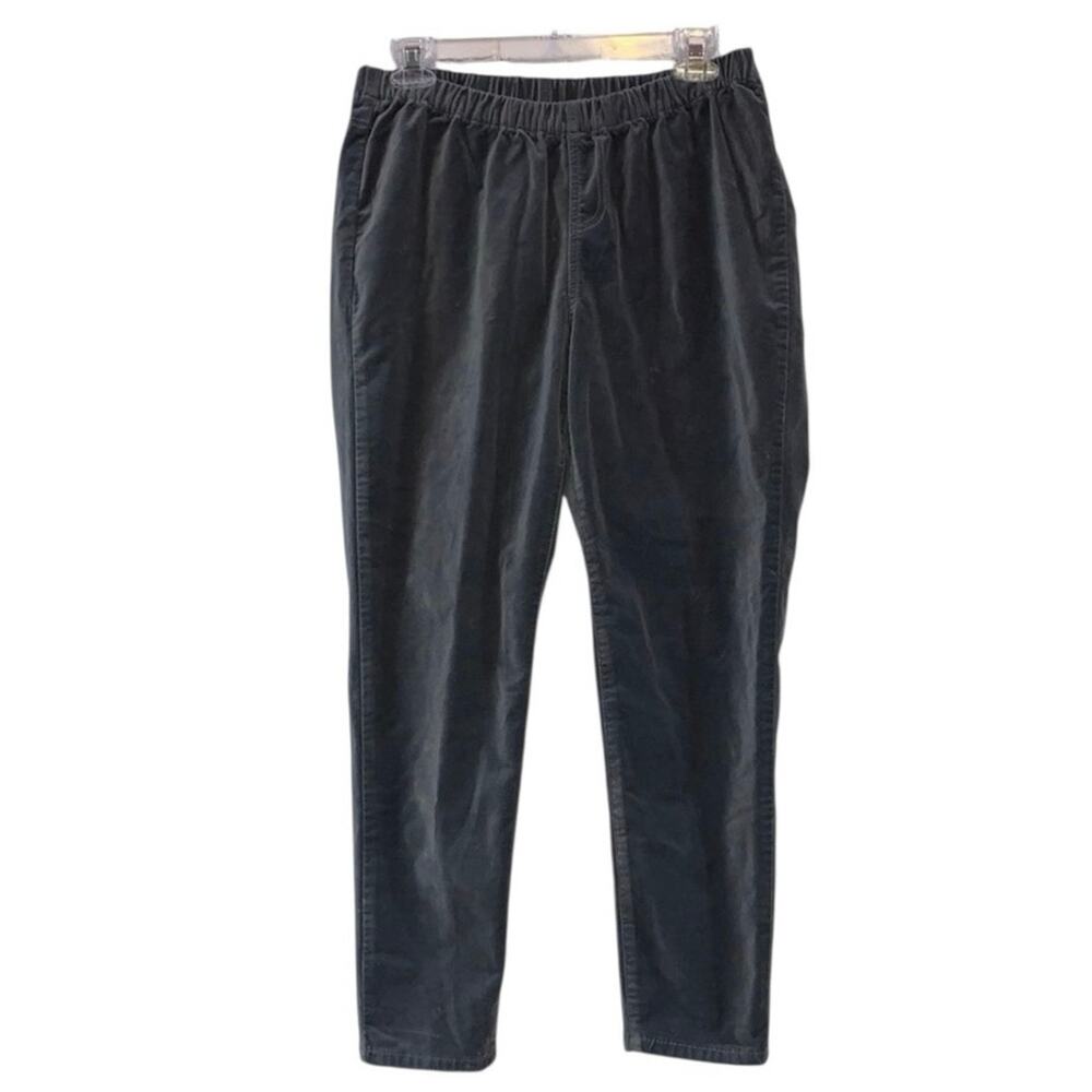 Women’s Gray Pull On Velour Pants‎ Petite Large DG2